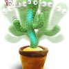 Cactus Toy