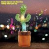 Cactus Toy