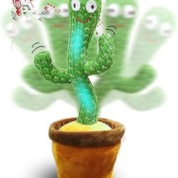 Cactus Toy