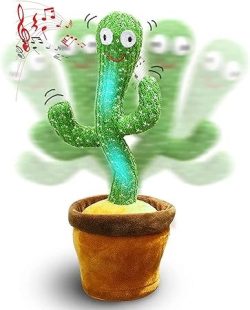 Cactus Toy