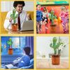 Cactus Toy