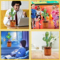 Cactus Toy