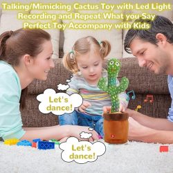 Cactus Toy