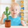 Cactus Toy